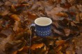 /album/galerie-photos/tasse-en-for%c3%aat-jpg/